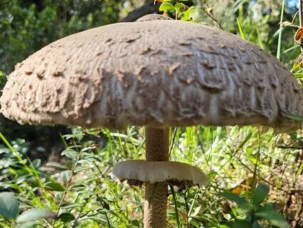 Healing Your Inner Child