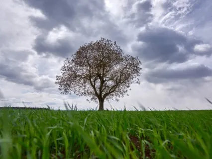 Healing Your Inner Child (Self-Love Practice)