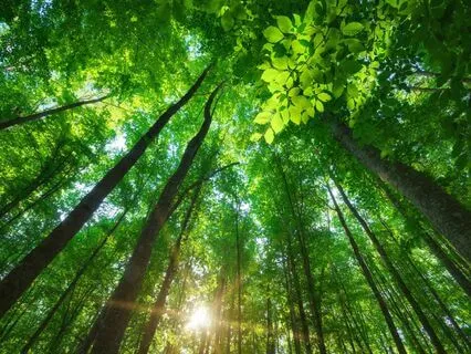 Healing Your Inner Child