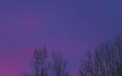 Healing Your Life Circle - Sleep Meditation