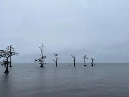 Healing Your Limiting Belief And Primary Misconception