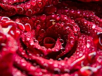 Healing Your Menstrual Story