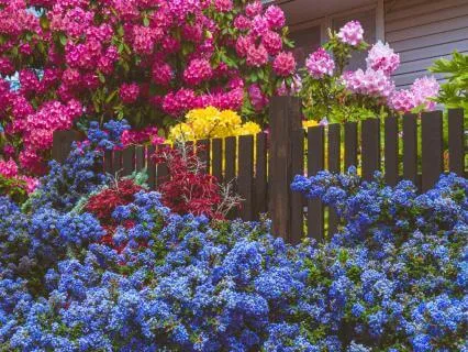 Healing Your Money Wounds Meditation