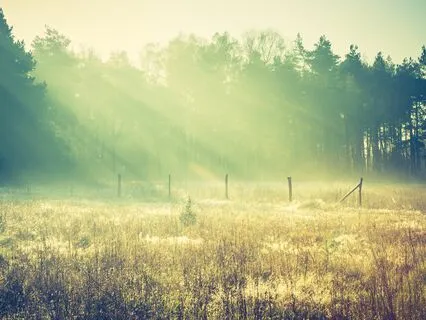 Healing Your Past Meditation (Let Go Of Guilt & Shame)