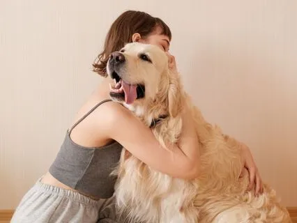 Healing Your Pet With Angels And Elementals