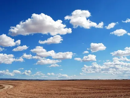 Healing Your Thoughts