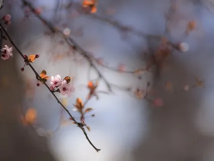 Healing Your Younger Selves (Younger Yous)