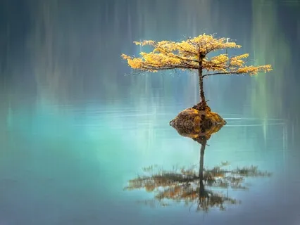 Healing Yourself - Breathwork & Meditation - Live