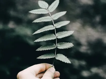 Healing Yourself Using Meditation & Mindfulness - For Mild Pain & Injury