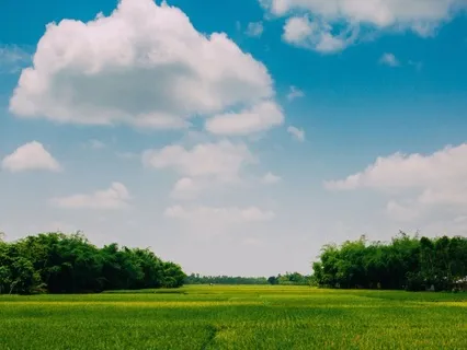 Healing Zen Music For Relaxing