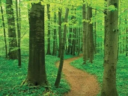 Health & Healing Yoga Nidra