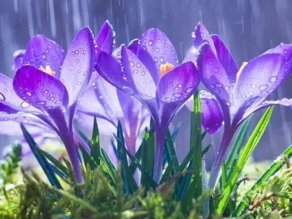 Health Anxiety Support: Finding Safety In The Body