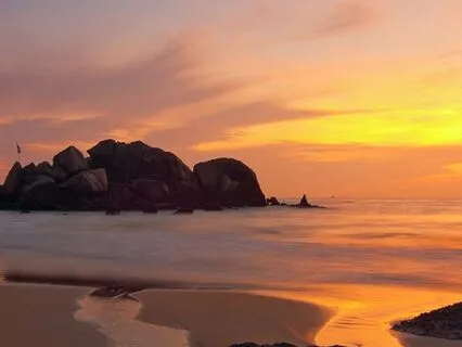 Health & Vitality Manifestation