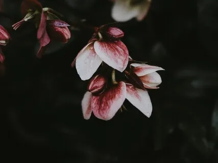 Restorative Sleep Meditation