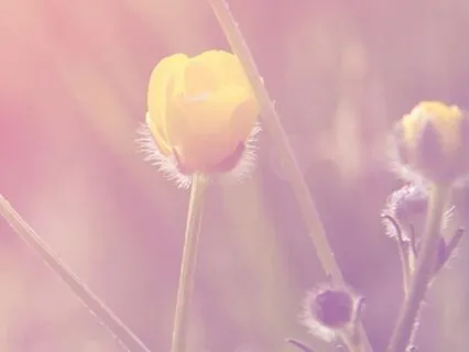 Healthy Boundaries In 4 Minutes