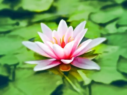 Healthy Boundaries Meditation