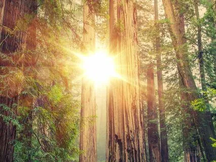 Healthy Boundaries v2