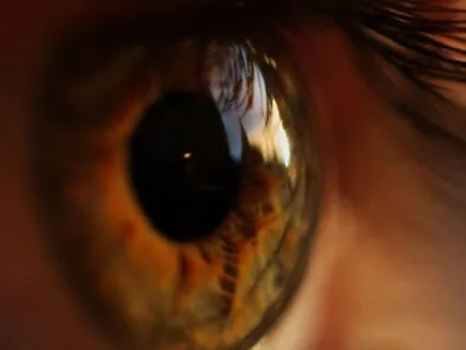 Healthy Eyes, Clear Vision