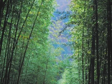 Healthy Feminine Healthy Masculine