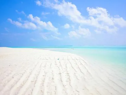 Healthy Habits Subliminal (Binaural Beats)