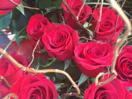 Healthy Relationship Affirmations