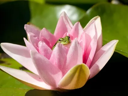 Relationships Healthy