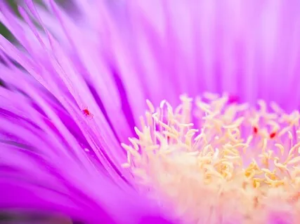 Healthy, Wealthy & Wise Affirmations For A New You 