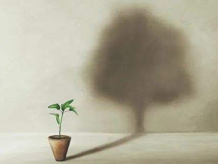 Healthy Weight Meditation