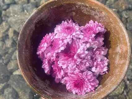 Hear The Voice Of Your Womb