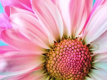 Hearing Mindfulness Practice