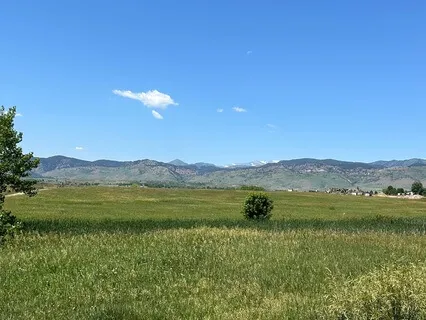 Heart | A Poem Reading