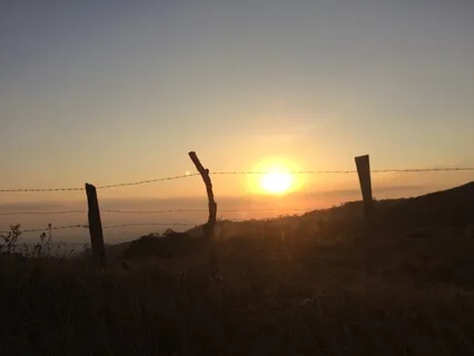 Heart Activation Meditation