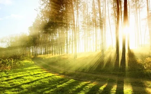 Heart And Body - Gateways To Presence