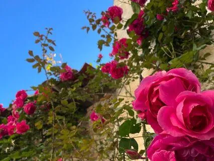 Heart And Gut Space Meditation