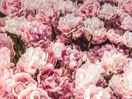 Heart & Womb Practice