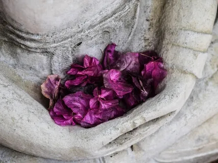 Heart Awakening Meditation