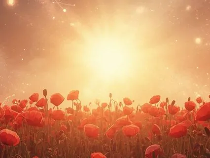 Heart Awakening Morning Meditation