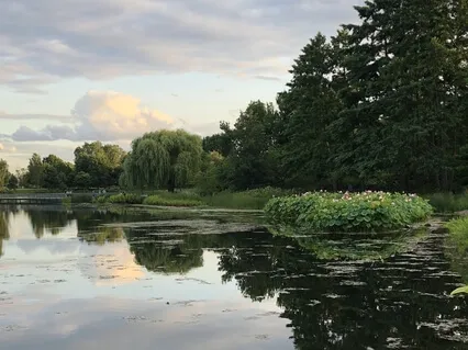 Heart-Brain Coherence 