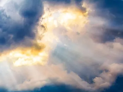 Heart Brain Coherence