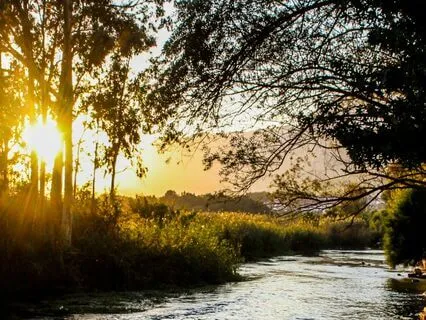 Heart, Breath, Love (5 Minute Pause)