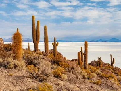 Heart Breathing Technique