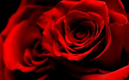 Heart Center Meditation