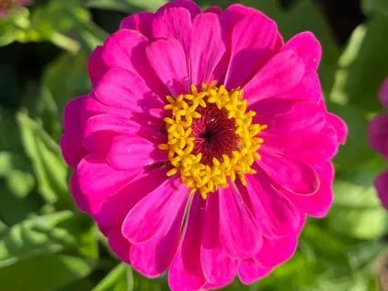 Heart Center Meditation | Gentle Guided Practice