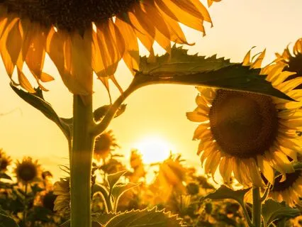 Heart-Centered Abundance