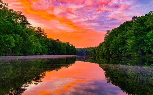 Heart-Centered Activation: Heart & Mind Alignment Meditation