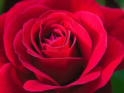 Heart Centered Awakening