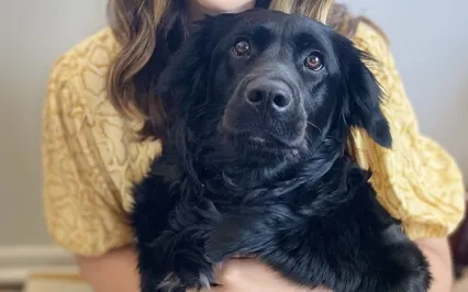 Heart Centered Connection To Animals