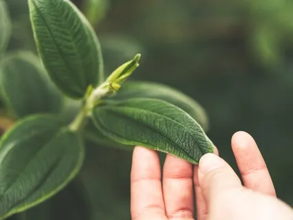 Heart Centered Forgiveness Part One: Forgiving Yourself