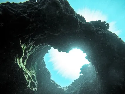 Heart-Centered Healing: A Guided Breathwork Meditation