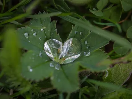 Heart-Centered Meditation